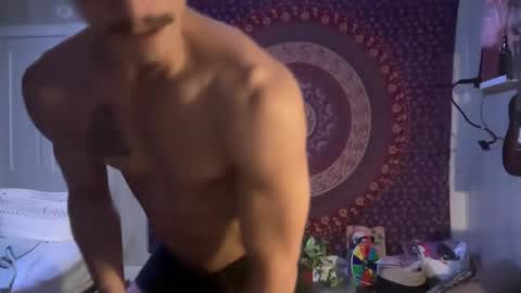 Wolfblazer online show from 02.11.25