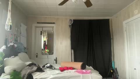 Wolfblazer online show from 02.20.25