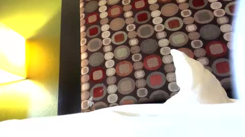 Ryan online show from 11.12.25