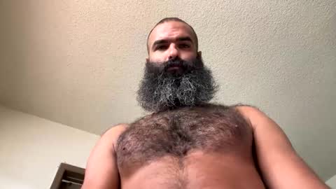 woof_wolf37 online show from 11.01.25