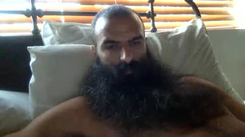 woof_wolf37 online show from 02.02.26