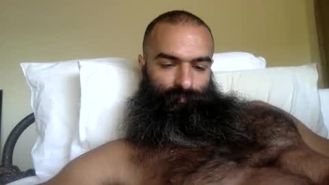 woof_wolf37 online show from 02.13.26