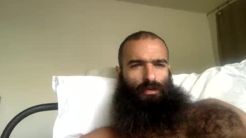 woof_wolf37 online show from 04.08.26