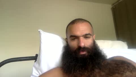 Snapshot of woof_wolf37 chatting on 04.21.26 woof_wolf37 online show from 04.21.26
