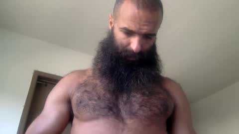 Snapshot of woof_wolf37 chatting on 05.19.26 woof_wolf37 online show from 05.19.26