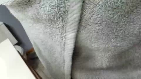 workingman6969 online show from 02.26.25