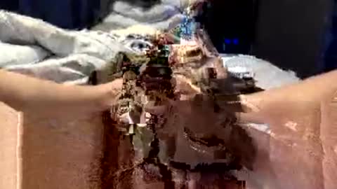 Snapshot of workplace_proximity_associate chatting on 09.28.25 workplace_proximity_associate online show from 09.28.25