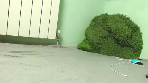 wow_devil online show from 12.27.24