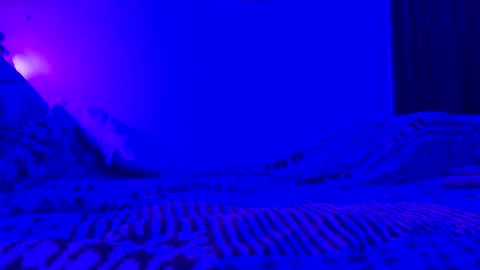 wowsers7 online show from 11.07.25