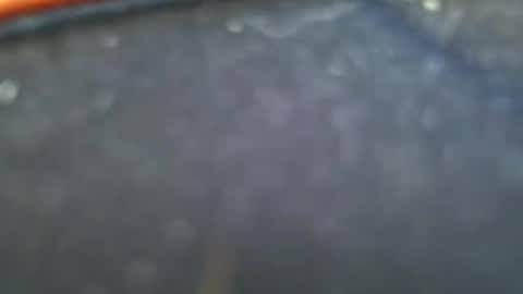 Snapshot of wrangleat0r chatting on 01.28.25 wrangleat0r online show from 01.28.25