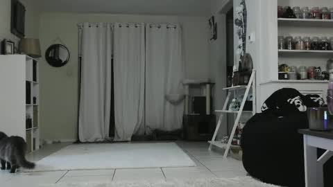 Snapshot of wrenleigh chatting on 01.03.25 Crystal Lake online show from 01.03.25