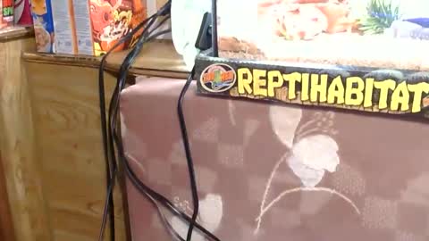 x2kayx2 online show from 01.13.26