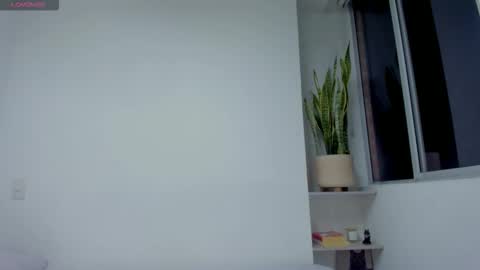 Xavier online show from 11.11.25