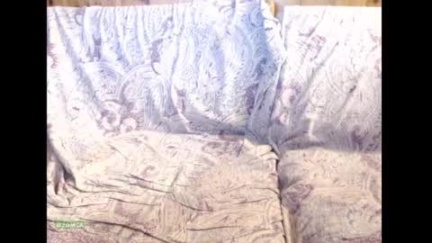 xcockstar online show from 03.09.25