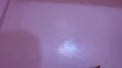 Sachi Cy online show from 12.11.24