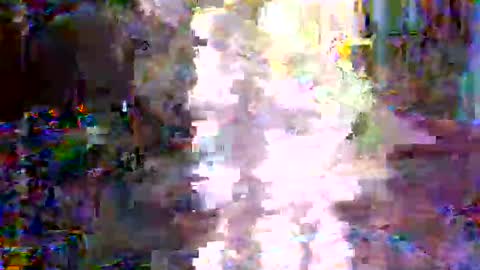 Snapshot of xixo6969 chatting on 02.03.26 xixo6969 online show from 02.03.26