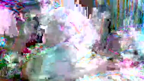 Snapshot of xixo6969 chatting on 02.20.26 xixo6969 online show from 02.20.26