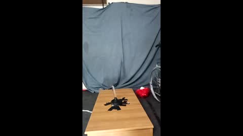 xoomia3 online show from 01.10.26