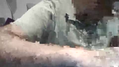 xoriso online show from 10.31.25