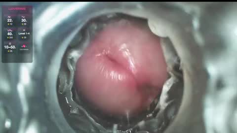 Snapshot of xoxowtf chatting on 12.01.24 xoxowtf online show from 12.01.24