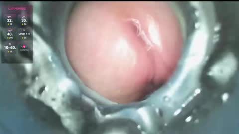 Snapshot of xoxowtf chatting on 12.09.24 xoxowtf online show from 12.09.24