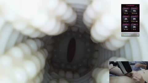 Snapshot of xoxowtf chatting on 03.01.26 xoxowtf online show from 03.01.26