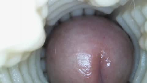 xoxowtf online show from 03.15.26