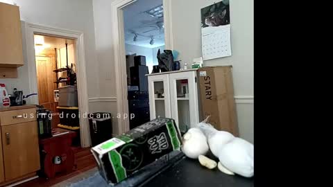 Snapshot of xstay_coldx chatting on 02.10.25 Johnny online show from 02.10.25