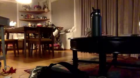 yayalala online show from 12.02.24