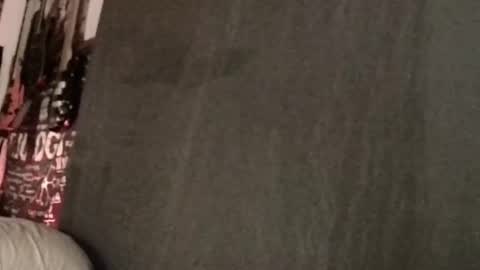 David Fox online show from 03.11.25