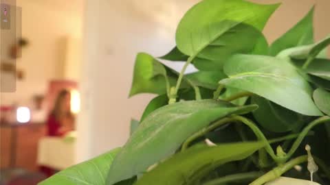 Xxxoka online show from 03.06.25