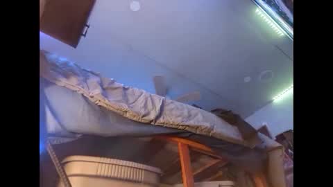 Xzbib online show from 12.12.24