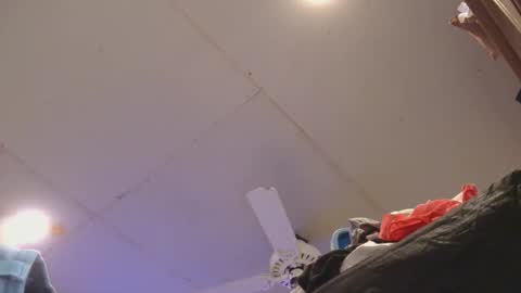 Xzbib online show from 01.11.26