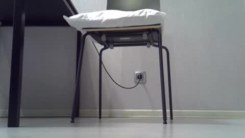 Dina online show from 02.01.26