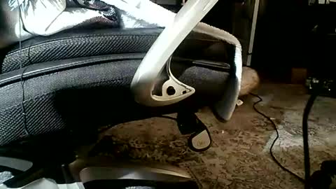 yamagrow online show from 04.19.26