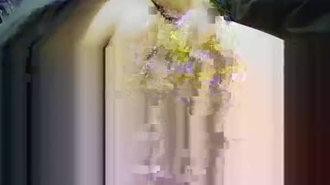 yangolox3 online show from 11.14.25