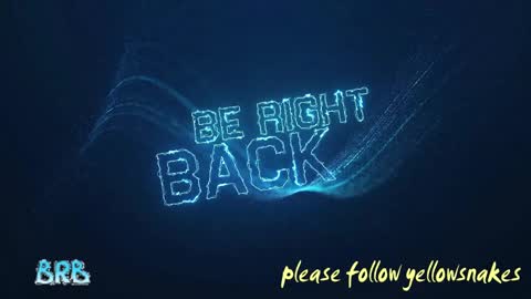 .     y e l l o w s n a k e s       . online show from 10.02.25