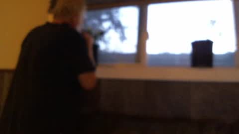 .     y e l l o w s n a k e s       . online show from 10.19.25