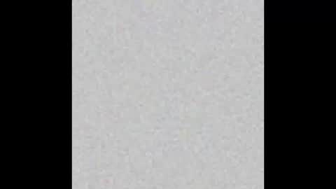 .     y e l l o w s n a k e s       . online show from 10.23.25