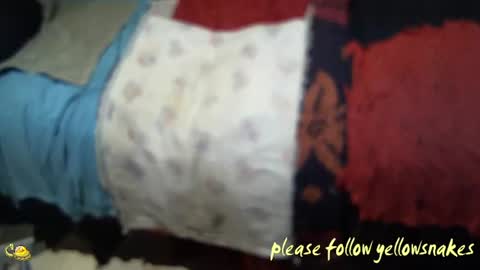 .     y e l l o w s n a k e s       . online show from 11.07.25