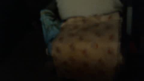 .     y e l l o w s n a k e s       . online show from 01.06.26