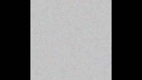 .     y e l l o w s n a k e s       . online show from 01.17.26