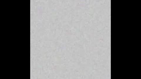 .     y e l l o w s n a k e s       . online show from 03.15.26