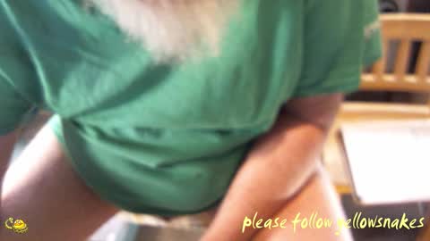 .     y e l l o w s n a k e s       . online show from 03.19.26