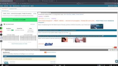 .     y e l l o w s n a k e s       . online show from 03.20.26