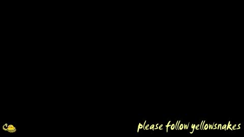 .     y e l l o w s n a k e s       . online show from 03.24.26