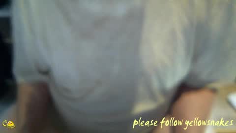 .     y e l l o w s n a k e s       . online show from 04.01.26