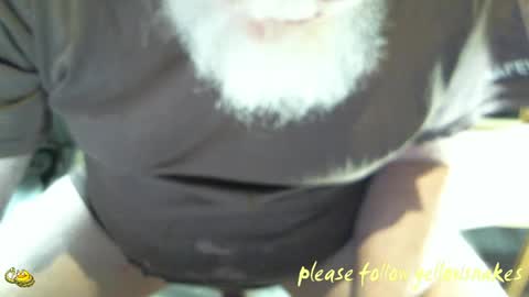Snapshot of yellowsnakes chatting on 04.19.26 . y e l l o w s n a k e s . online show from 04.19.26