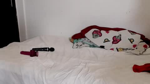 tulipan online show from 02.02.25