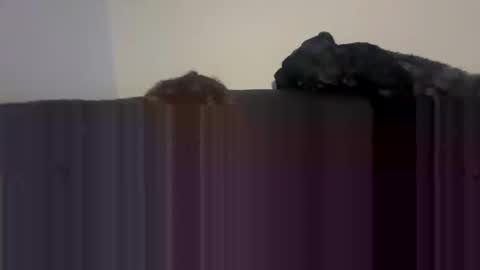 Self fucking fucktoy online show from 04.26.26